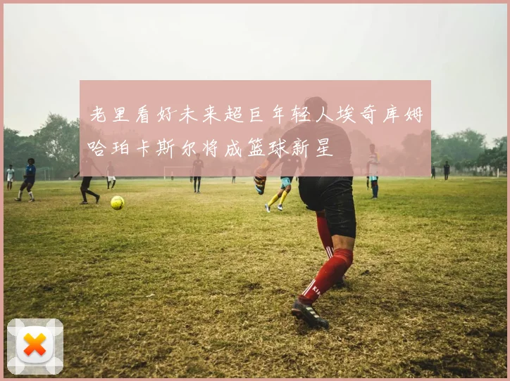 老里看好未来超巨年轻人埃奇库姆哈珀卡斯尔将成篮球新星